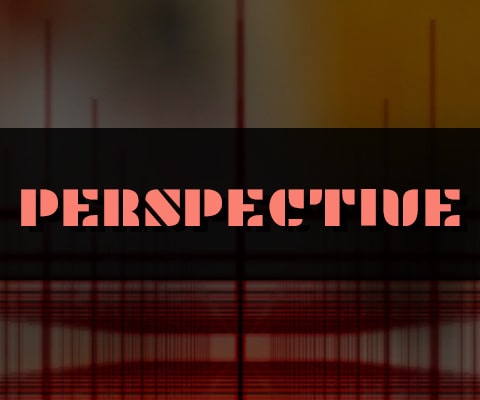 ZIM Perspective - with adjustable controls!